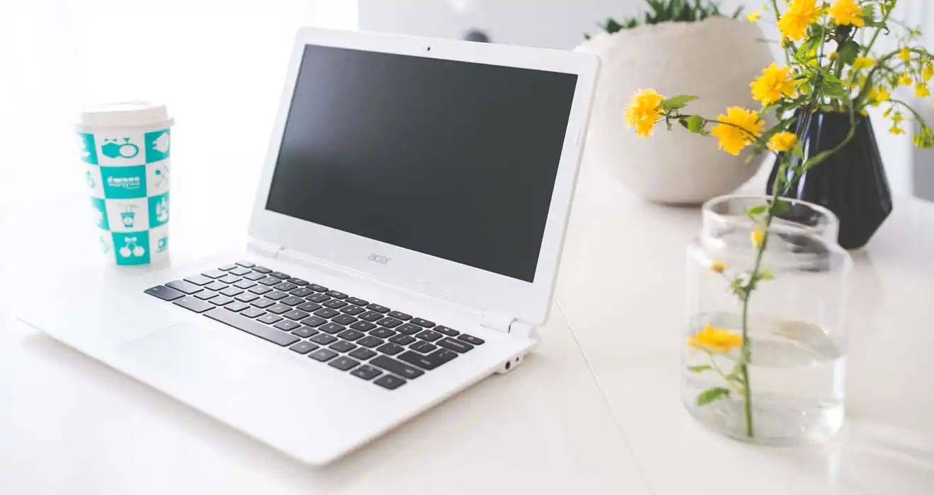 Ремонт ноутбуков Acer в Ногинске